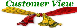 Customer View