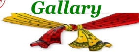 Gallary